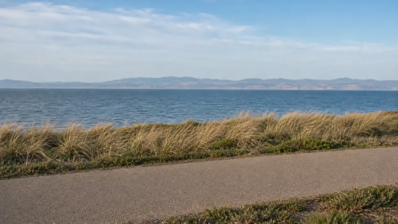 The same coast path with no rider.